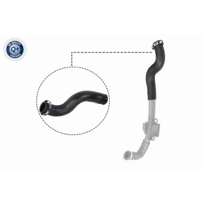 Image de VAICO V46 0830 Gaine De Suralimentation Caouchouc textilé Qualité originale RENAULT: Kangoo II Express, / Grand