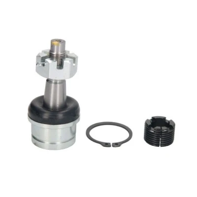 Image de REINHOCH RH03 6004 Rotule de suspension inférieur, des deux côtés l&#039;essieu avant JEEP: GRAND CHEROKEE 2, WRANGLER 3, 2
