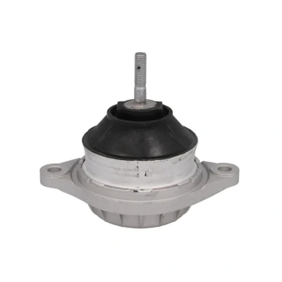 Image de REINHOCH RH11 0002 Support moteur avant droite hydraulique Bleu AUDI: Cabriolet B4, A3 3/5 portes, A4 B5 Berline