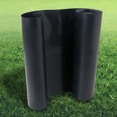 Image de Barrière anti racine