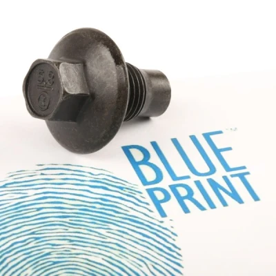 Image de BLUE PRINT ADM50102 Bouchon De Vidange Acier 13 avec bague d&#039;étanchéité FORD: Transit Mk6 Сamion à Plateau/Сhâssis, Van, FIESTA 6
