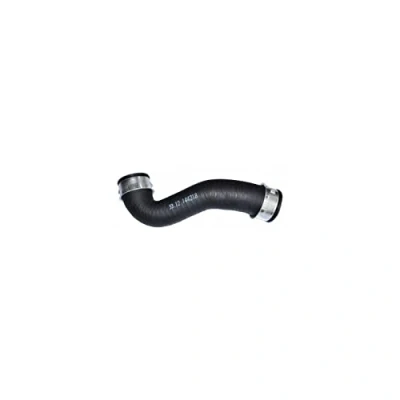 Image de BUGIAD 86609 Gaine De Suralimentation 52 VOLKSWAGEN: Golf 4, Bora Variant, New Beetle Cabriolet, AUDI: A3 3/5 portes, SEAT: Leon I portes
