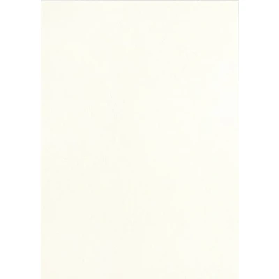 Image de PAVO Boîte de 100 Plats couvertures A3 grain cuir 250 g Blanc