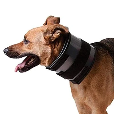 Image de KVP Collier Bite gratuit