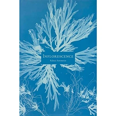 Image de Inflorescence Livre d’occasion Très bon
