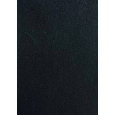 Image de PAVO Boîte de 100 Plats couverture A3 grain cuir 250 g Noir