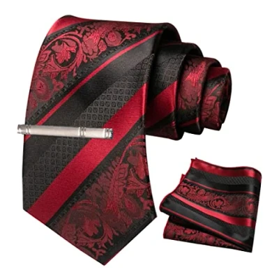 Image de JEMYGINS Cravatta Uomo Borgogna in Seta Ricamo Classico di Petali a Strisce Multicolore con Fazzoletto e Fermacravatta