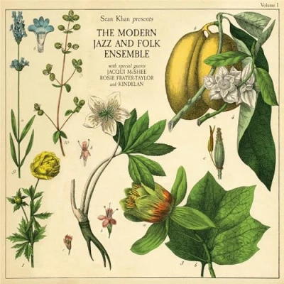 Image de Sean Khan Presents The Modern Folk &amp; Jazz Ensemble