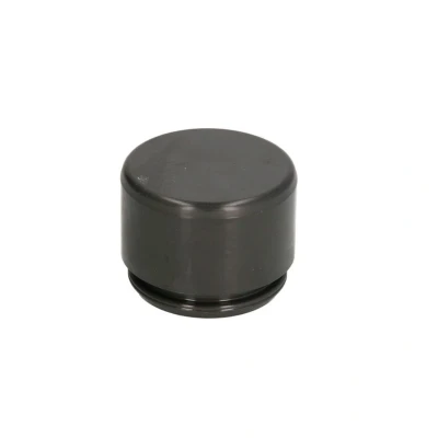 Image de AUTOFREN SEINSA D025255 Piston, étrier de frein 40 ATE MERCEDES BENZ: Classe ML, SL Cabriolet