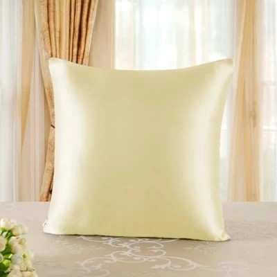 Image de townssilk Taie d&#039;oreiller en Soie,100% Naturelle de mûrier 19 Momme,Deux côtés Soie Certifiée Oeko Tex Bienfaits Cheveux et Peau,hypoallergénique,1 unité,65x65cm,LightYellow