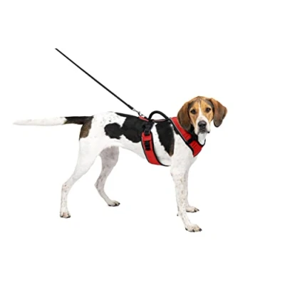 Image de PetSafe Harnais pour Chien EasySport avec Poignée de Contrôle, Réfléchissant, Ajustable Confortable, Rembourré Rouge, L