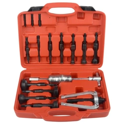 Image de DAYUAN Ensemble d&#039;extracteurs de roulement Serrage pour Trou Aveugle, 16 pièces intérieur et kit d&#039;extraction Joint coulisse Marteau Pilote Insert Outil retrait