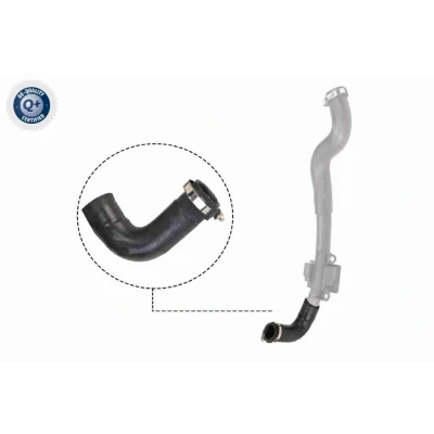 Image de VAICO V46 0828 Gaine De Suralimentation Caouchouc textilé Qualité originale RENAULT: Kangoo II Express, / Grand