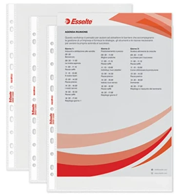 Image de Esselte 395613300 Enveloppes Universel Copy Safe A4 Standard en Relief, Lot de 200