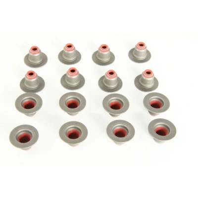 Image de REINZ 12 34439 01 Jeu de joints d&#039;étanchéité, tige soupape PEUGEOT: 206 3/5 portes, 807, 306 CITROËN: C4 I Grand Picasso