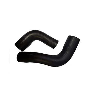 Image de BUGIAD 88792 Gaine De Suralimentation FORD: Focus 2, C Max, Max