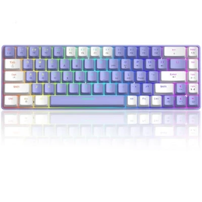 Image de T8 RGB 60% Clavier Mécanique, de Jeu Filaire Layout Compacte 65%, 18 LED RVB Chroma Rétroéclairées, QWERTY Mini 68 Touches Full Key Anti ghosting Pour PS4, Xbox, PC, MAC Blue Switch/Purple