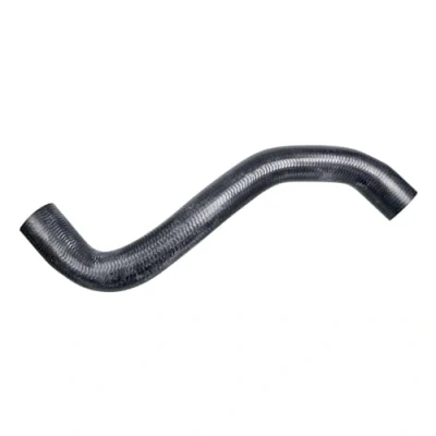 Image de FEBI BILSTEIN 106273 Durite De Refroidissement EPDM (éthylène propylène diène caoutchouc) RENAULT: CLIO 2, Kangoo I, I Express