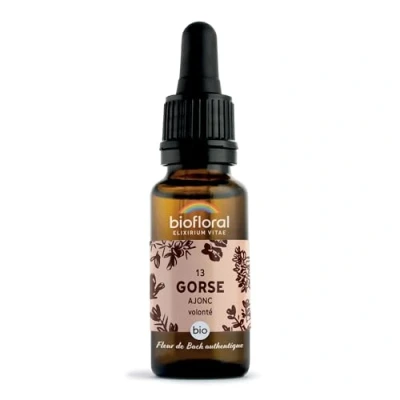 Image de BIOFLORAL 13 Gorse, Ajonc Compte Gouttes Bio Demeter 20 Ml Fleur De Bach