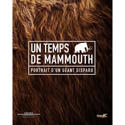 Image de Un temps de mammouth Portrait d&#039;un géant disparu Livre d’occasion Correct