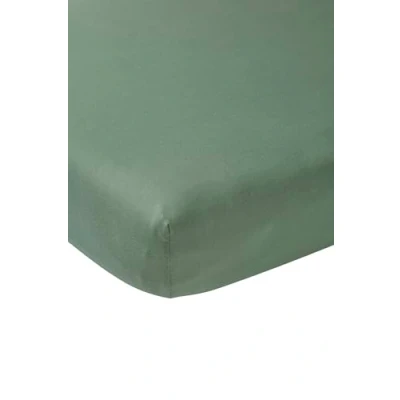 Image de Meyco Home Basic Jersey Uni, Drap pour 1 Personne (Drap en qualité Doux, 100% Coton, Ajustement Parfait grâce à Un Cordon élastique Tout Autour, Taille : 120 x 200 cm), Vert forêt