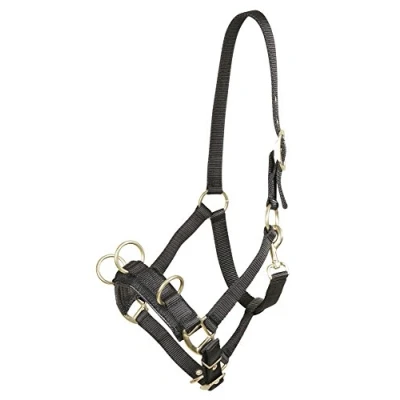 Image de PFIFF Caveçon en nylon avec bouclerie couleur laiton Noir Cob/Vollblut