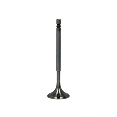 Image de FRECCIA R6630/SCR soupape d&#039;Admission 30,5 Tige de chromée MERCEDES BENZ: Sprinter 5 T Сamion à Plateau/Сhâssis, CLK Coupe, Classe C Break