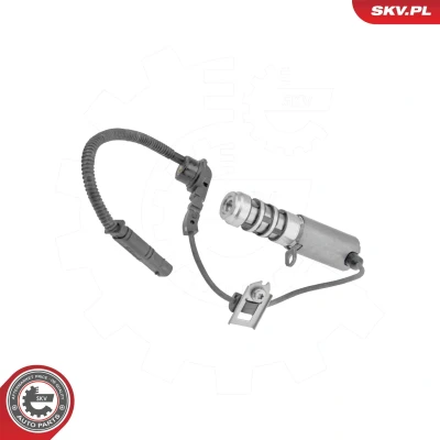 Image de Valve de commande, réglage d&#039;arbres à came ESEN SKV 39SKV092