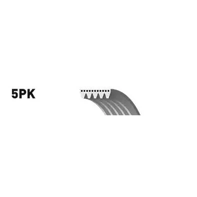 Image de SNR CA5PK1300 Courroie Poly V 1300 5 AUDI: A4 B5 Berline, A6 C5 Avant, VOLKSWAGEN: Passat GP Break