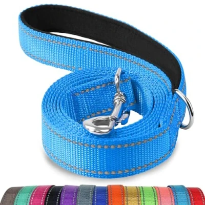 Image de Joytale Laisse Double Face Réfléchissante Robuste pour Chien, avec Poignée Rembourée,1.2m x 2.5cm,Bleu Ciel
