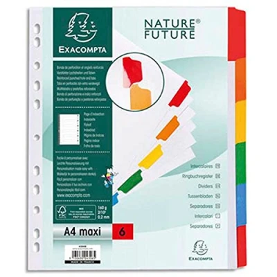 Image de Lot de 10 Jeux d&#039;intercalaire 6 positions en carte blanche 170g, onglets Mylar®. Format A4+