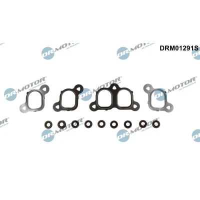 Image de DR.MOTOR AUTOMOTIVE DRM01291S Jeu de joints d&#039;étanchéité, collecteur d&#039;admission VOLKSWAGEN: Transporter 5 Bus, Multivan (7HM,