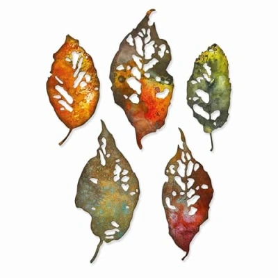 Image de Sizzix Leaf by Thinlits Die Set 5PK Fragments de Feuilles par Tim Holtz, 665559, Acier au Carbone, Multicolor, Taille unique