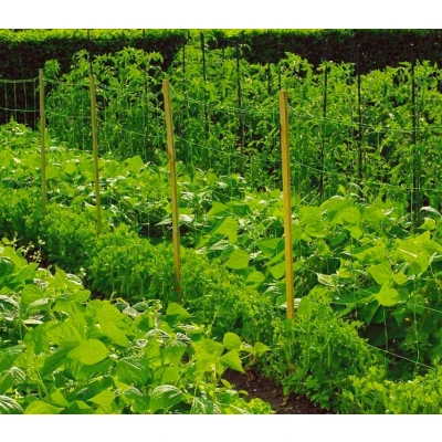 Image de &#039;Direct Filet&#039;&#039; &#039;Filet à ramer 10m 2 x 10 m