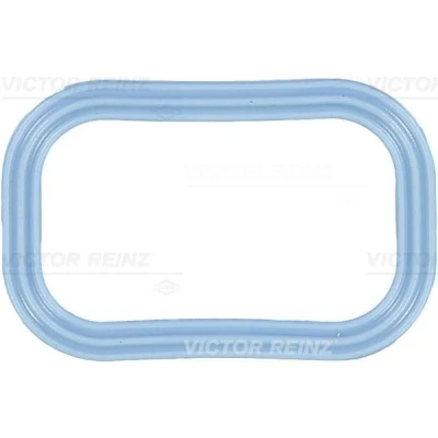Image de REINZ 71 35539 00 Joint Collecteur d&#039;Admission FORD: Ranger Mk3, Transit Mk5 Minibus, Mk6 Van, CITROËN: Jumper II JAGUAR: X Type Berline