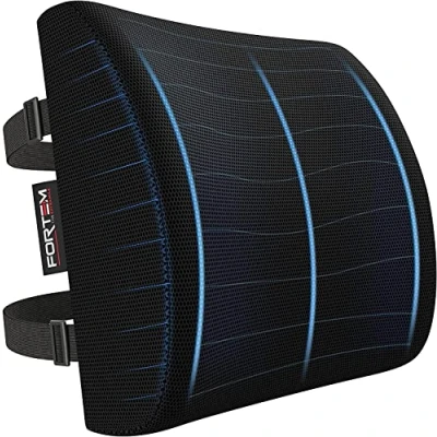 Image de FORTEM Coussin De Soutien Lombaire, Support Ergonomique Maintien du Dos en Mousse À Mémoire Forme, Corrige La Posture, pour Voiture Bureau Chaise Fauteuil, Housse Lavable (Gris foncé)