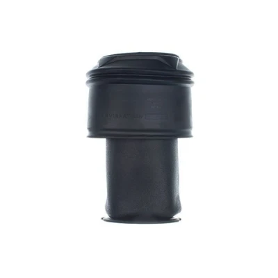 Image de DENCKERMANN DSA117G Ressort pneumatique, châssis Essieu arrière CITROËN: C4 I Grand Picasso, Picasso 1