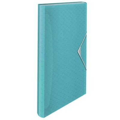 Image de Esselte Classeur Ménager A4, Organiseur Transparent à 5 Onglets / 6 Compartiments, Maison Bureau, Motif Texturé, Gamme Colour&#039;Breeze, Bleu, 626252