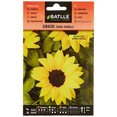 Image de TOURNESOL JAUNE NAIN