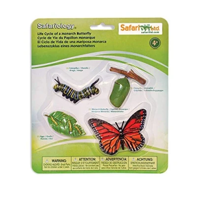 Image de Safari Ltd. Cycle de vie d&#039;une Papillon Monarque S622616