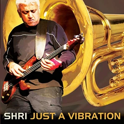 Image de Shri Just a Vibration Feat Hammonds CD [Import]