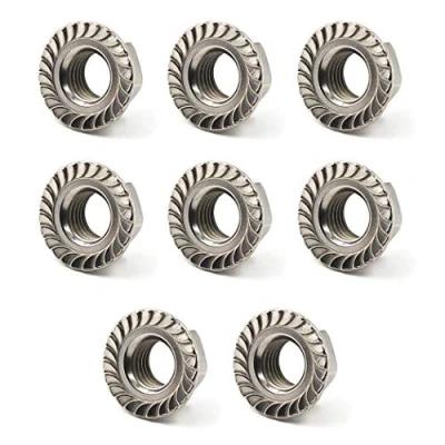 Image de Écrous à collerette M16 Écrou hexagonale en acier inoxydable 304 (8 pièces)