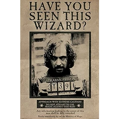 Image de Wizarding World PP33681 Harry Potter (Wanted Sirius Black) Maxi Poster, Bois, Multicolore, 61 x 91,5 cm
