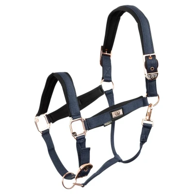 Image de BR Licol Or Rose Shetland Bleu