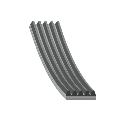 Image de FEBI BILSTEIN 28870 Courroie Poly V 1263 5 EPDM (éthylène propylène diène caoutchouc) MERCEDES BENZ: Classe A, Vaneo