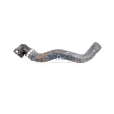 Image de VAICO V24 0876 Durite De Refroidissement Qualité originale FIAT: Stilo 3/5 portes