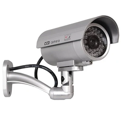 Image de CAMÉRA FACTICE IR9000 S IR LED CEE
