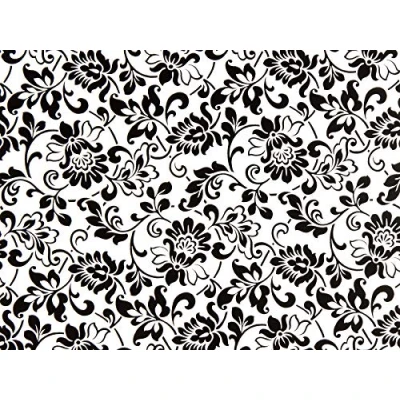 Image de Fablon Rouleau de Papier autoadhésif Style Heritage Noir/Blanc 45 cm x 2 m