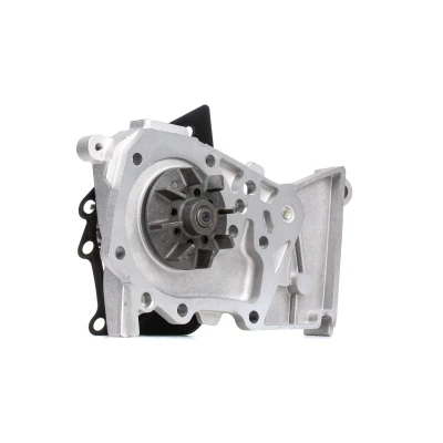 Image de DOLZ R236 Pompe à eau RENAULT: CLIO 2, 3, SCENIC DACIA: Duster SUV, Sandero I, Logan I MCV