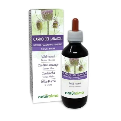Image de Cardère sauvage ou Cabaret des oiseaux (Dipsacus fullonum D. sylvestris) racines Teinture Mère sans alcool Naturalma Extrait liquide gouttes 200 ml Complément alimentaire Végétalien végan